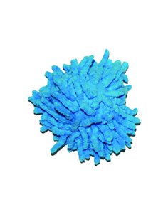 PALLA PELUCHE GATTO MOPPY BALL