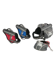 PETTORINA MULTIFUNZIONE ACTIVE