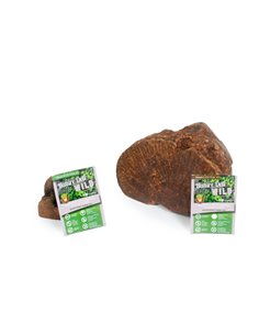 RADICE DI TUBERO