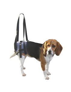 SUPPORTO VETERINARIO HANDY CANIS
