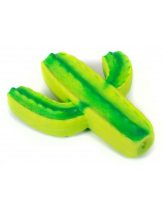 GIOCO CACTUS IN LATTICE