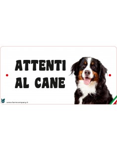 CARTELLI ATTENTI AL CANE IN...