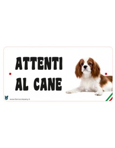 CARTELLI ATTENTI AL CANE IN...