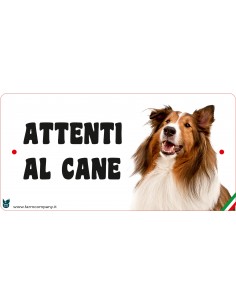 CARTELLI ATTENTI AL CANE IN...