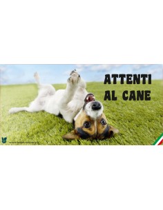 Cartello Attenti al cane in forex Setter Irlandese 25x12,5 cm