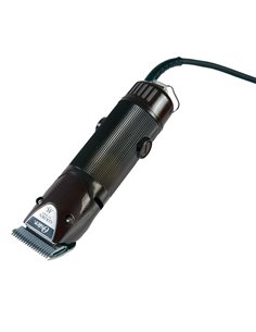 TOSATRICE OSTER GOLDEN A5 CON TESTINA