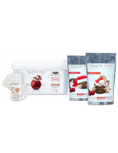 TASTY PET CHRISTMAS BOX FOR DOGS