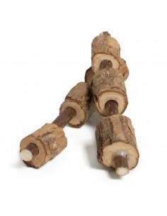 SPIEDINI DI MATATABI