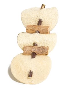 SPIEDINO MATATABI E LOOFA