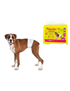 MALE DOG DIAPERS