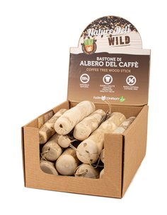 EXPO DA BANCO BASTONE ALBERO DEL CAFFE