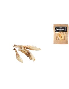 ORECCHIE DI CONIGLIO SENZA PELO