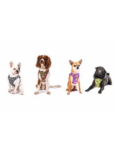 PETTORINA SOFT FANTASIA