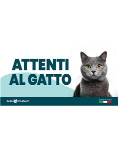 CARTELLI ATTENTI AL CANE IN FOREX - GATTO CERTOSINO