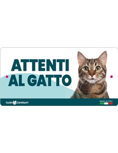 CARTELLI ATTENTI AL CANE IN FOREX - GATTO SORIANO