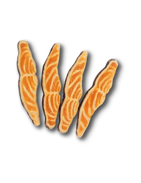 FETTINE DI POLLO E SALMONE