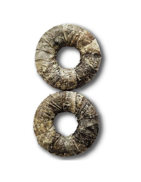 CIAMBELLA CON PESCE ARROTOLATO