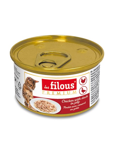 POLLO IN GELATINA PER GATTI