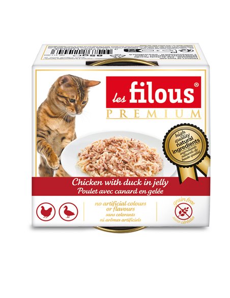 POLLO IN GELATINA PER GATTI