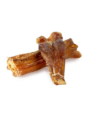 TENDINE DI ACHILLE BOVINO