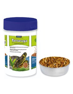 TARTARUGA