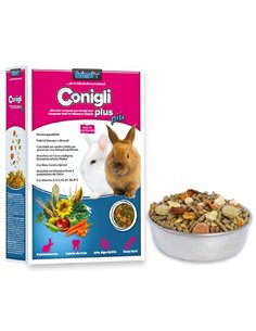 MIX CONIGLI PLUS