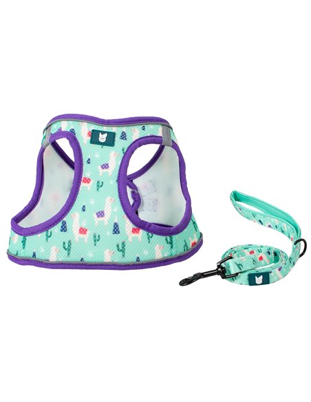 SET PETTORINA SOFT E GUINZAGLIO FANTASIA