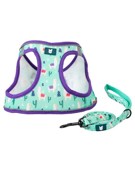 SET PETTORINA SOFT E GUINZAGLIO FANTASIA