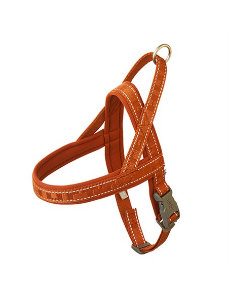 PETTORINA CASUAL ECO