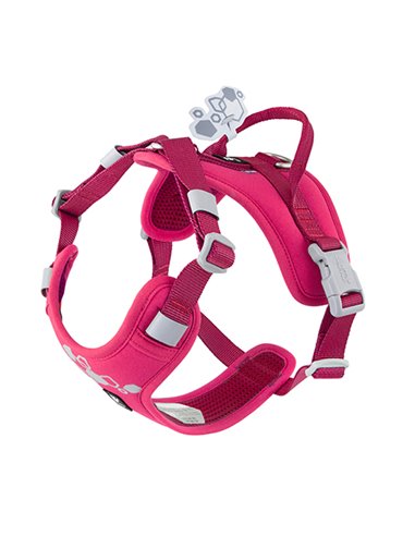 PETTORINA W WARRIOR 2