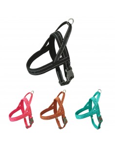 PETTORINA CASUAL ECO