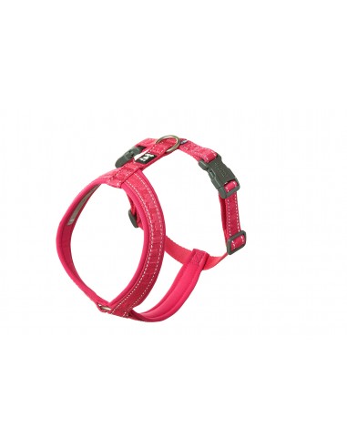 PETTORINA CASUAL Y ECO