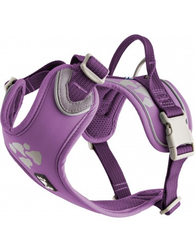 PETTORINA WEEKEND WARRIOR
