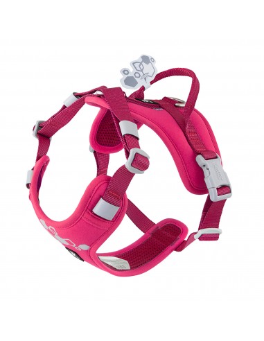 PETTORINA WEEKEND WARRIOR 2