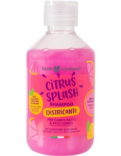 SHAMPOO FORMATO 250 ML