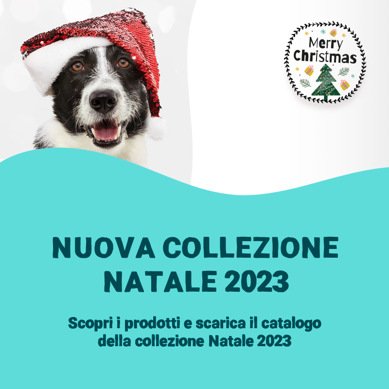 Natale 2023