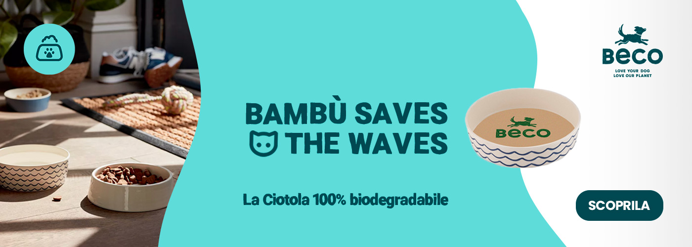 ciotola bambu