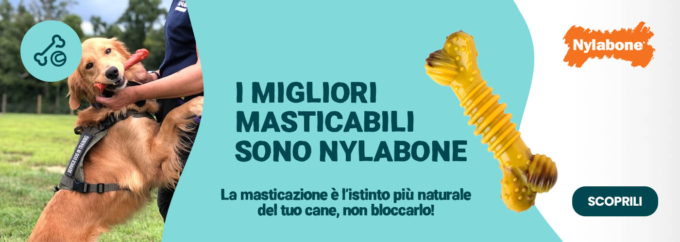 nylabone+extreme+chew