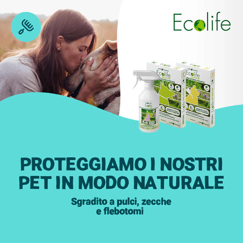 Ecolife