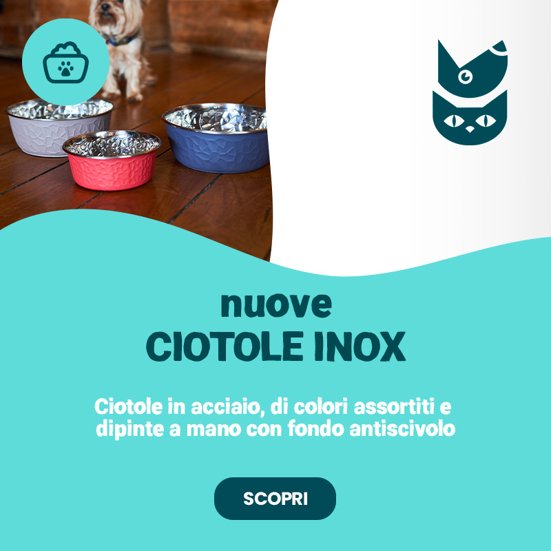 Ciotole Inox