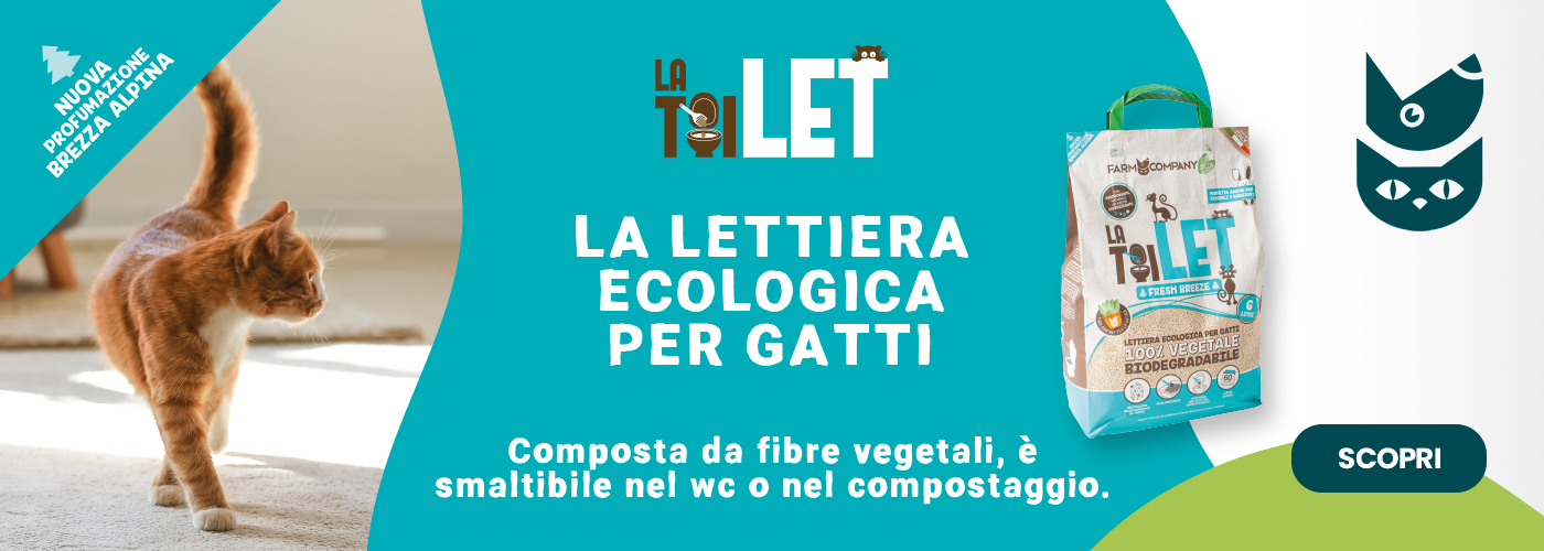 lettiera