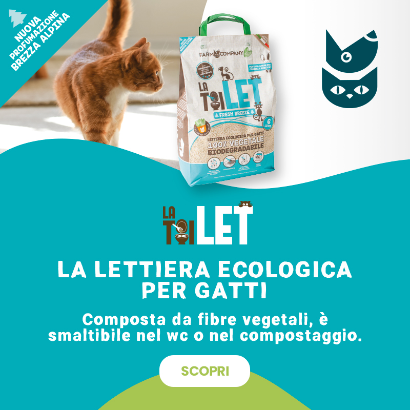 lettiera