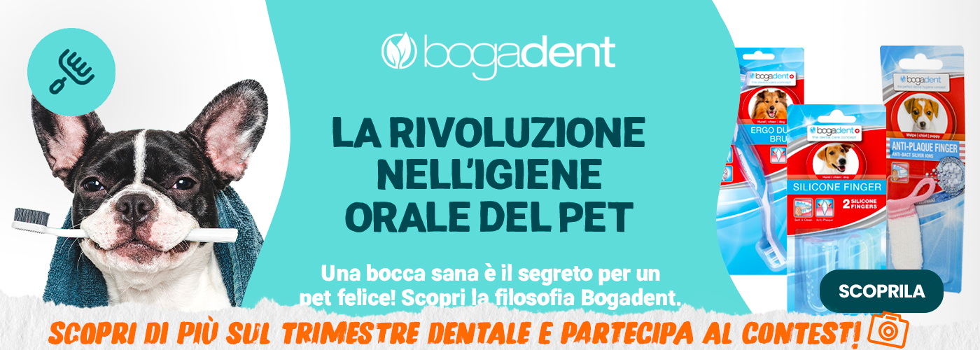 BOGADENT