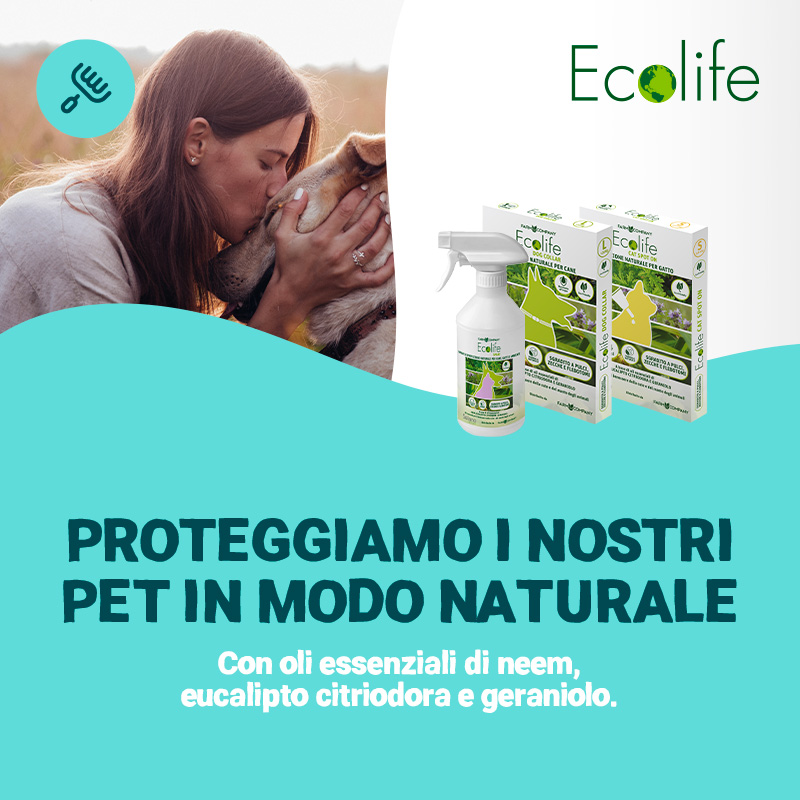 ecolife