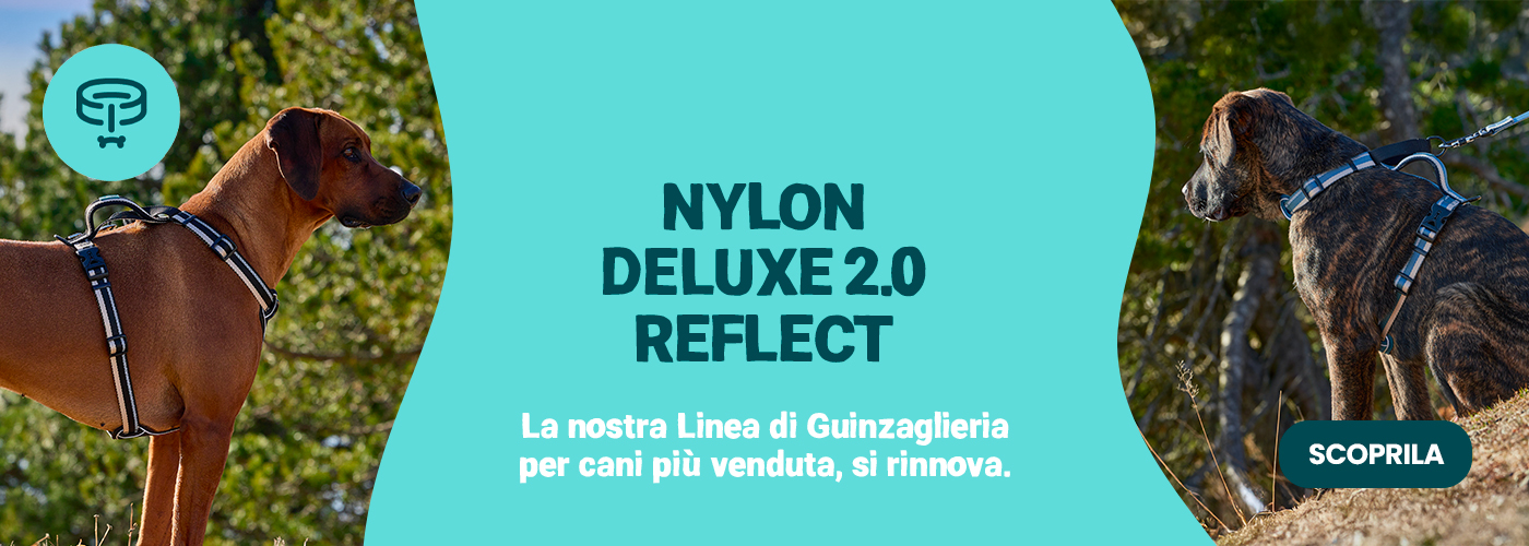 Nylon deluxe 2.0