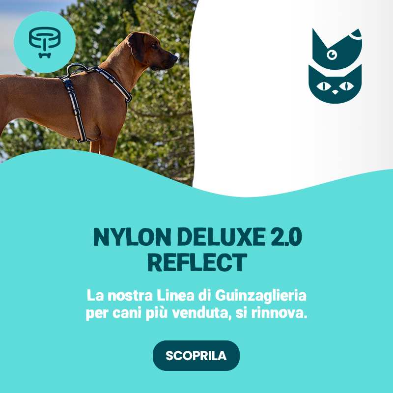 Nylon Deluxe 2.0